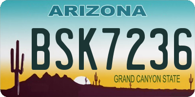 AZ license plate BSK7236