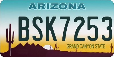 AZ license plate BSK7253