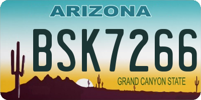 AZ license plate BSK7266