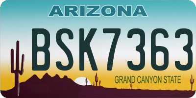 AZ license plate BSK7363