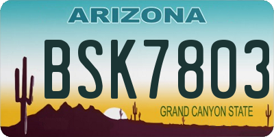 AZ license plate BSK7803