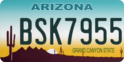 AZ license plate BSK7955