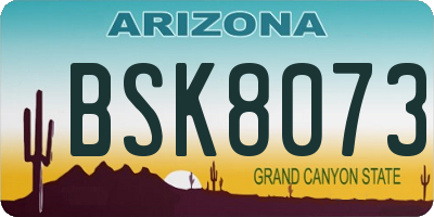 AZ license plate BSK8073