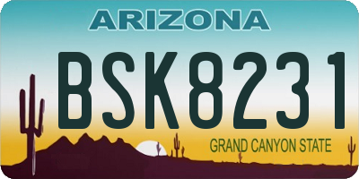 AZ license plate BSK8231