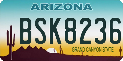 AZ license plate BSK8236