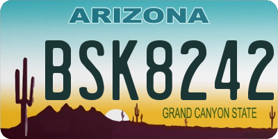 AZ license plate BSK8242