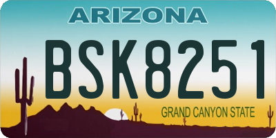 AZ license plate BSK8251