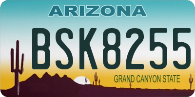 AZ license plate BSK8255