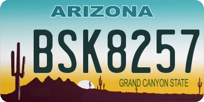 AZ license plate BSK8257