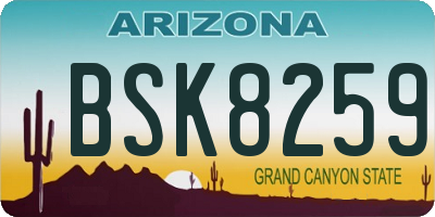 AZ license plate BSK8259
