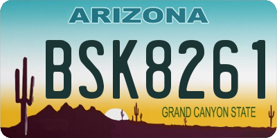 AZ license plate BSK8261