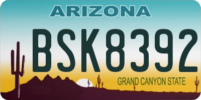 AZ license plate BSK8392