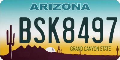 AZ license plate BSK8497