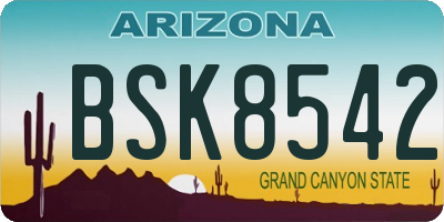 AZ license plate BSK8542