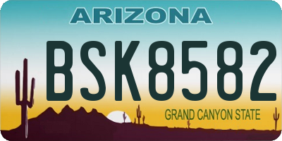 AZ license plate BSK8582