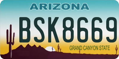 AZ license plate BSK8669