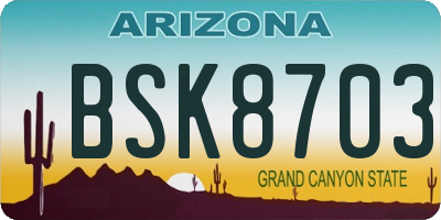 AZ license plate BSK8703
