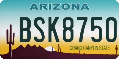 AZ license plate BSK8750