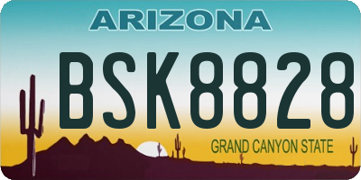 AZ license plate BSK8828