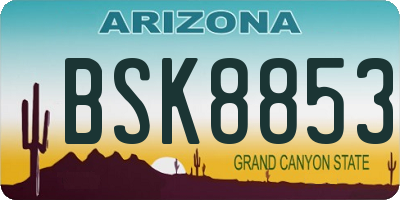 AZ license plate BSK8853