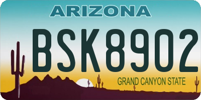 AZ license plate BSK8902