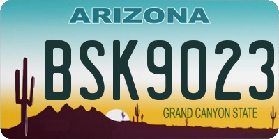 AZ license plate BSK9023