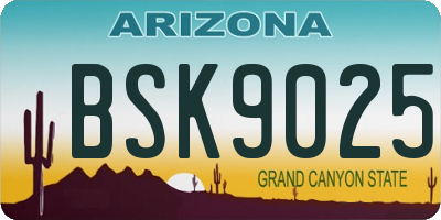 AZ license plate BSK9025