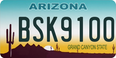 AZ license plate BSK9100