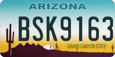 AZ license plate BSK9163