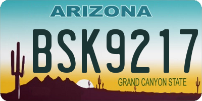 AZ license plate BSK9217