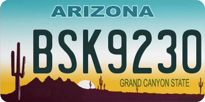 AZ license plate BSK9230