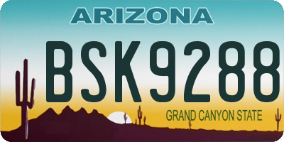 AZ license plate BSK9288