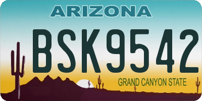 AZ license plate BSK9542