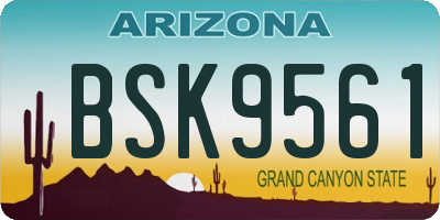 AZ license plate BSK9561