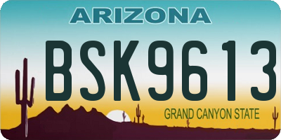 AZ license plate BSK9613