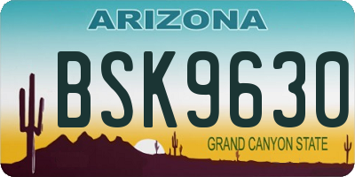 AZ license plate BSK9630