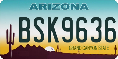 AZ license plate BSK9636