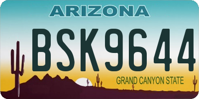 AZ license plate BSK9644