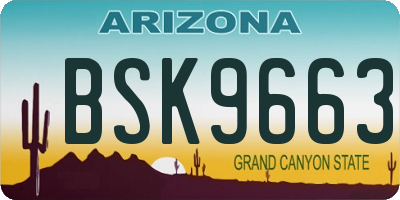 AZ license plate BSK9663