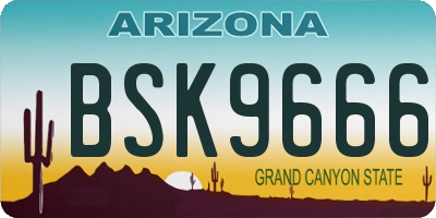 AZ license plate BSK9666