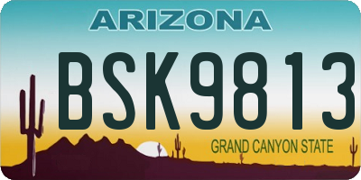 AZ license plate BSK9813
