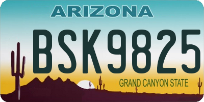AZ license plate BSK9825