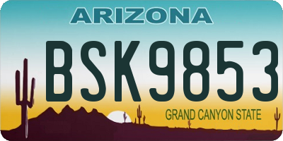 AZ license plate BSK9853