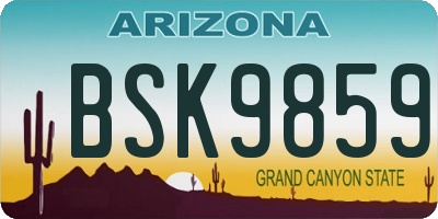 AZ license plate BSK9859