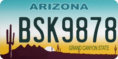 AZ license plate BSK9878