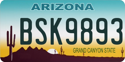 AZ license plate BSK9893