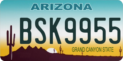 AZ license plate BSK9955