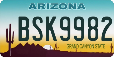 AZ license plate BSK9982