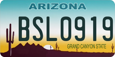 AZ license plate BSL0919