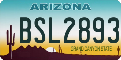 AZ license plate BSL2893